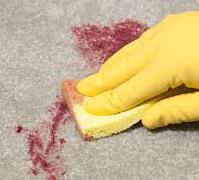 Person cleaning a Carpet